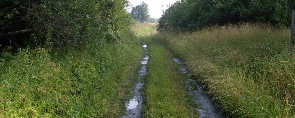 
            Фотография Дубравы