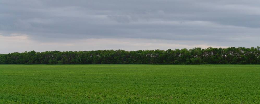 Фотография Серединского