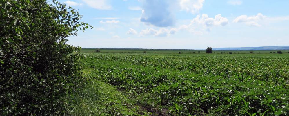 
            Фотография Шелехово