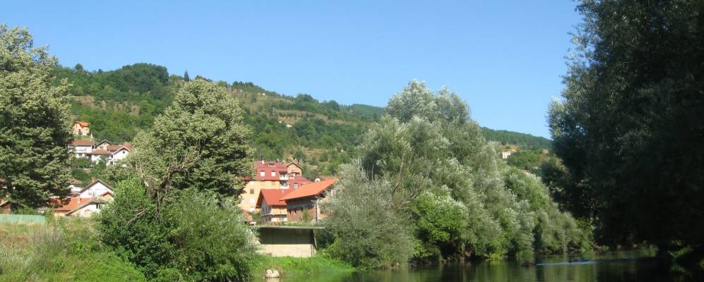 
            Фотография Фокы