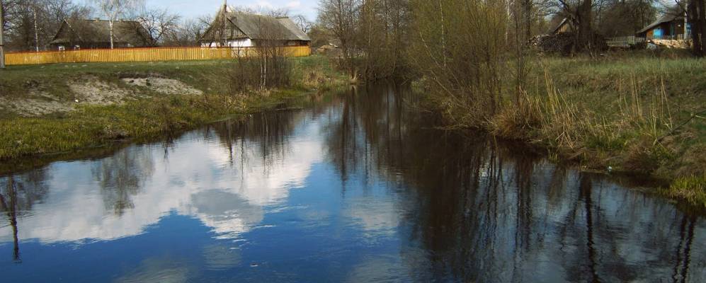 
            Фотография Нечатово