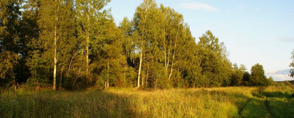 
            Фотография Редежи