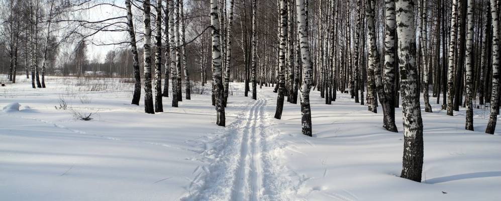 
            Фотография Зубино