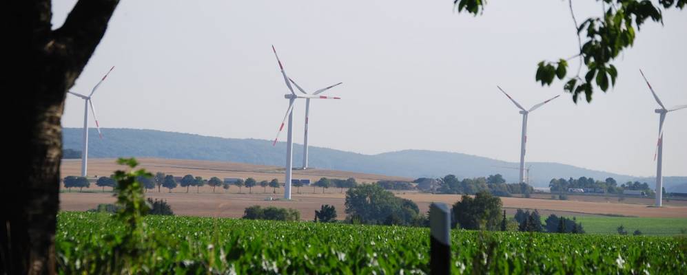 
            Фотография Хаверлы