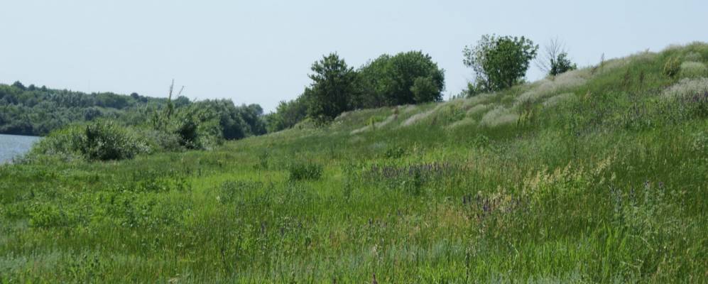 Фотография Ильинки