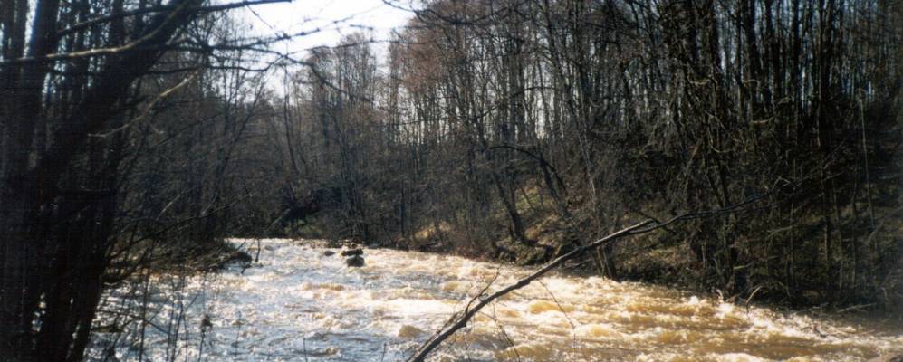 Фотография Новосёл