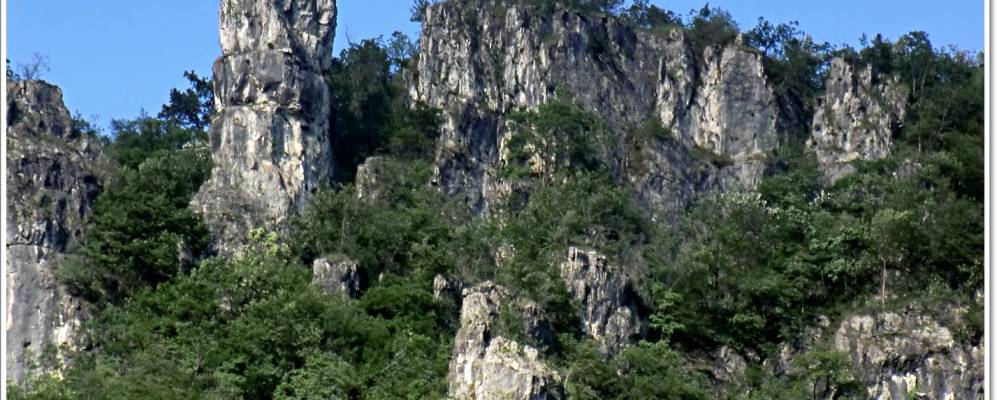 
            Фотография Сторо