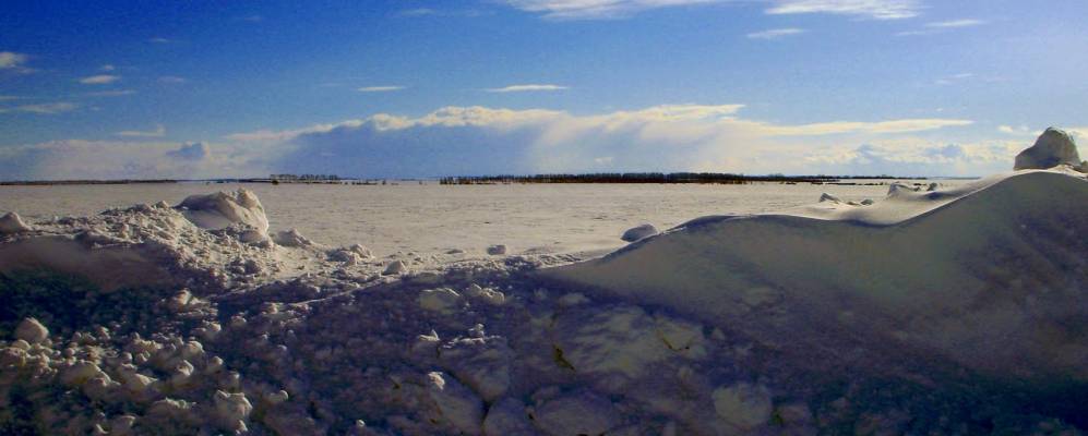 Фотография Низков