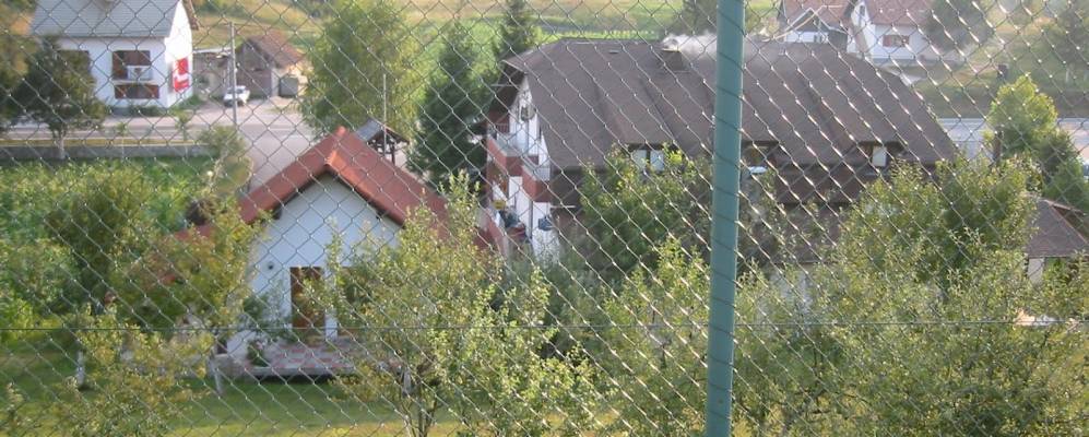 
            Фотография Раковицы