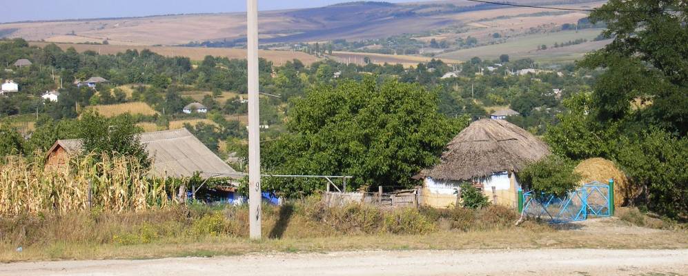 Фотография Гавиносы