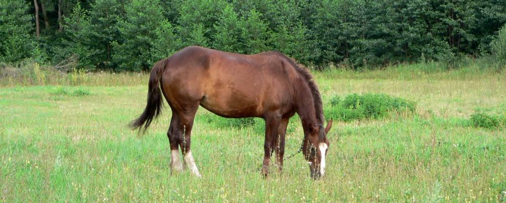 
            Фотография Федоровки