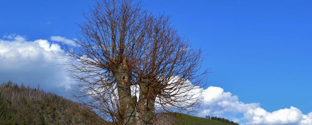 
            Фотография Кацова