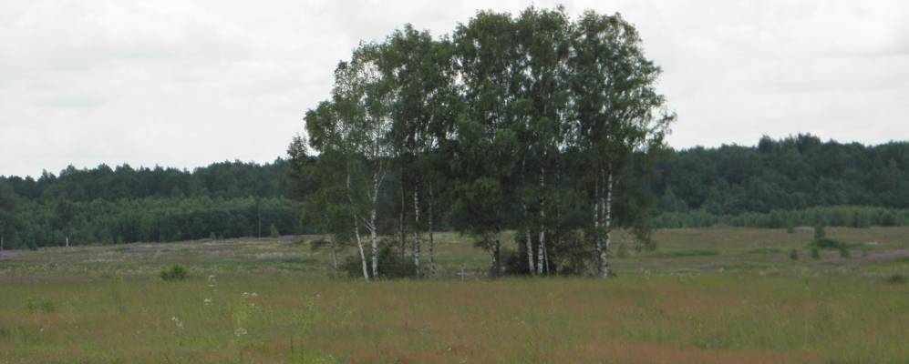 
            Фотография Шилово