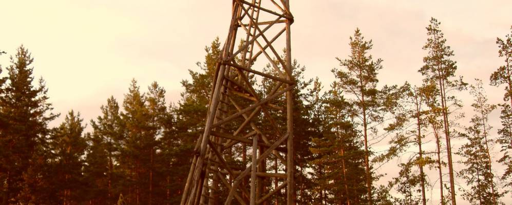 Фотография Рыка