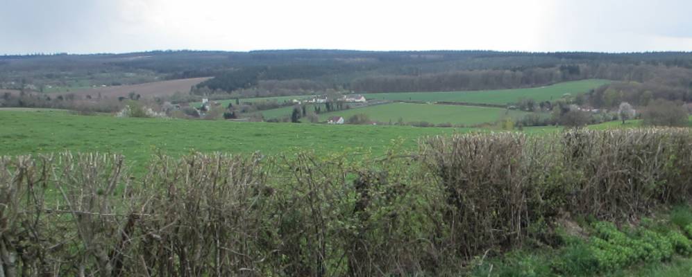 
            Фотография Танвиля