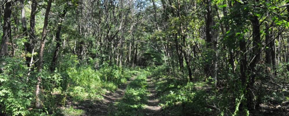 
            Фотография Креповского