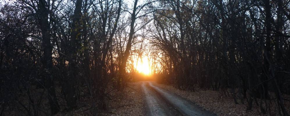 
            Фотография Сотова