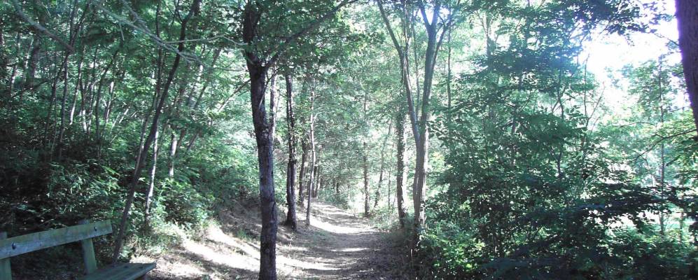 
            Фотография Сен-Мелэн-сюр-Обанса