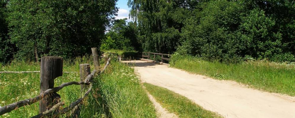 
            Фотография Городищи