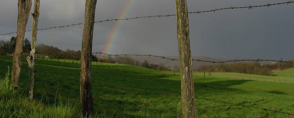 
            Фотография Masseret