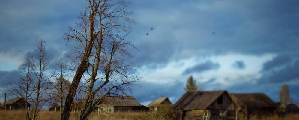 
            Фотография Котово