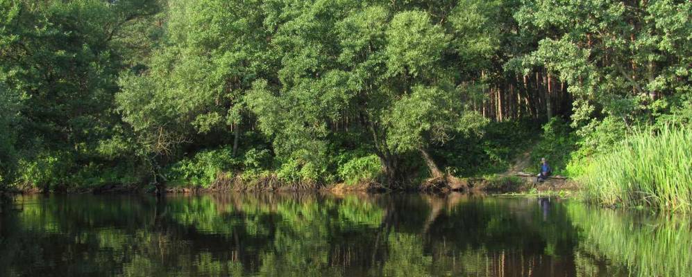 Фотография деревни Розлевичи