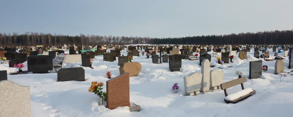 
            Фотография Ракитно