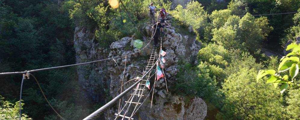 
            Фотография Касто