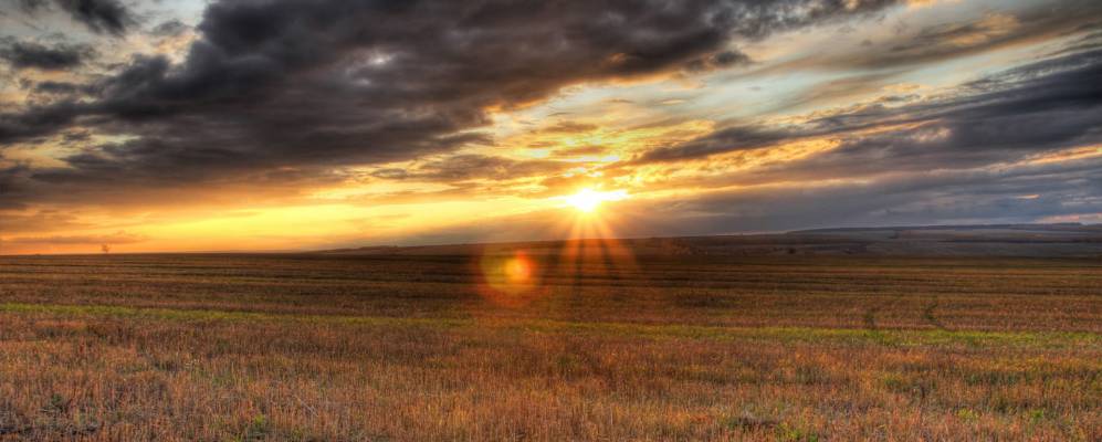 
            Фотография Юлдуза