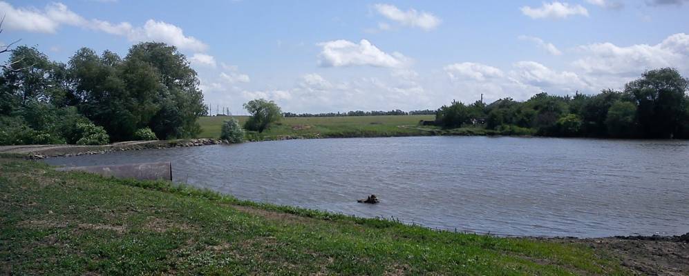 
            Фотография Бобриковки