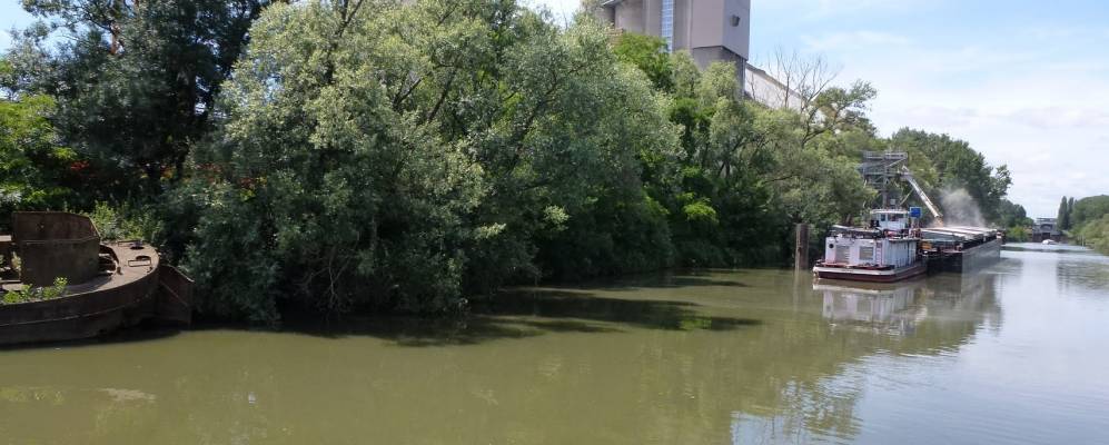 
            Фотография Крисе