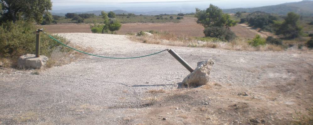 
            Фотография Орона