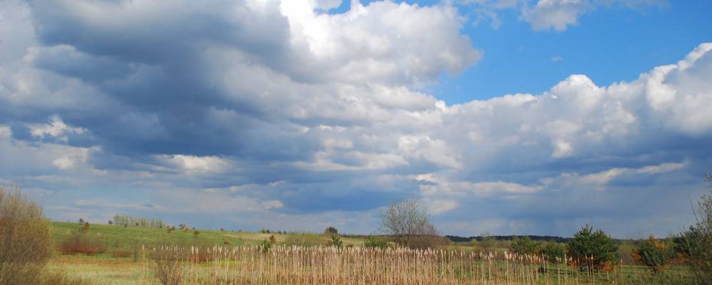 
            Фотография Шутовой