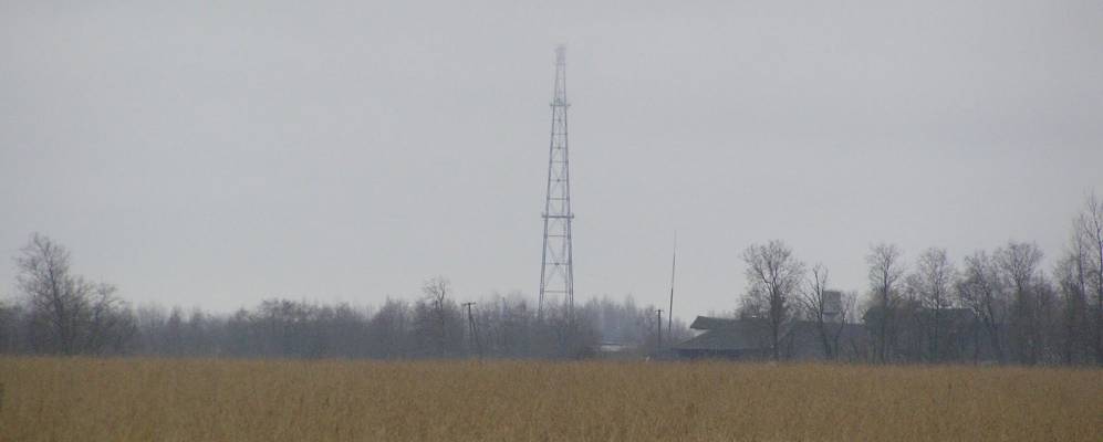 
            Фотография Сельцо