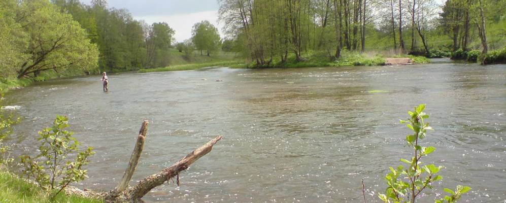 
            Фотография деревни Завельцы