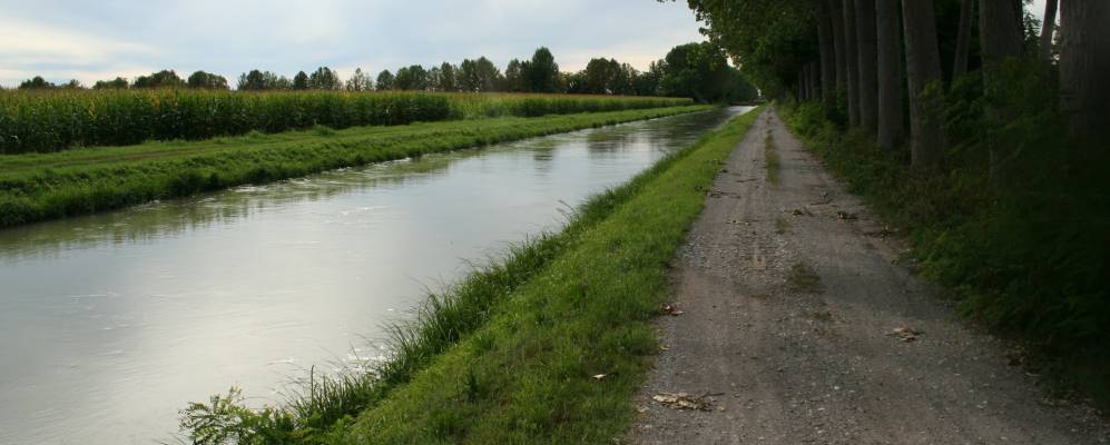 
            Фотография Триголо