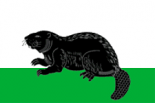 Флаг Боброва