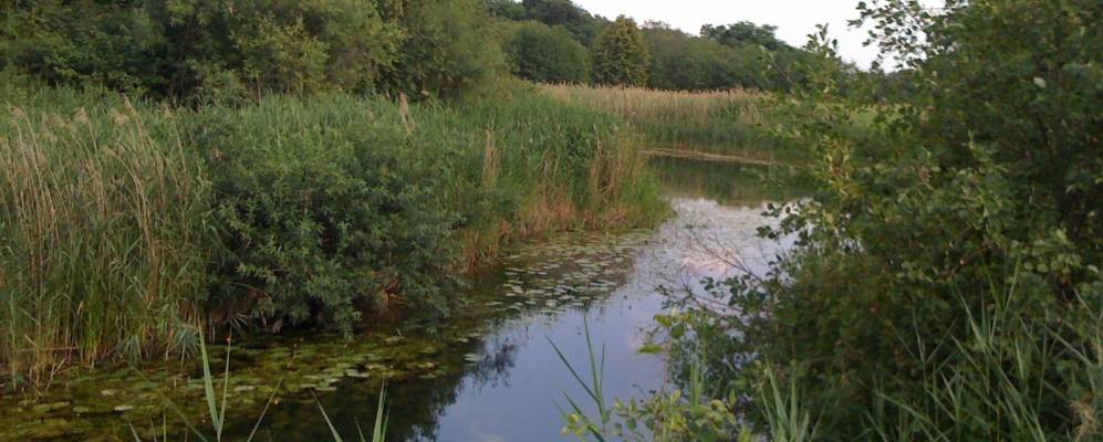 
            Фотография Солонихи