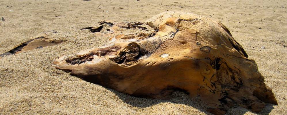 
            Фотография Сан-Фердинандо