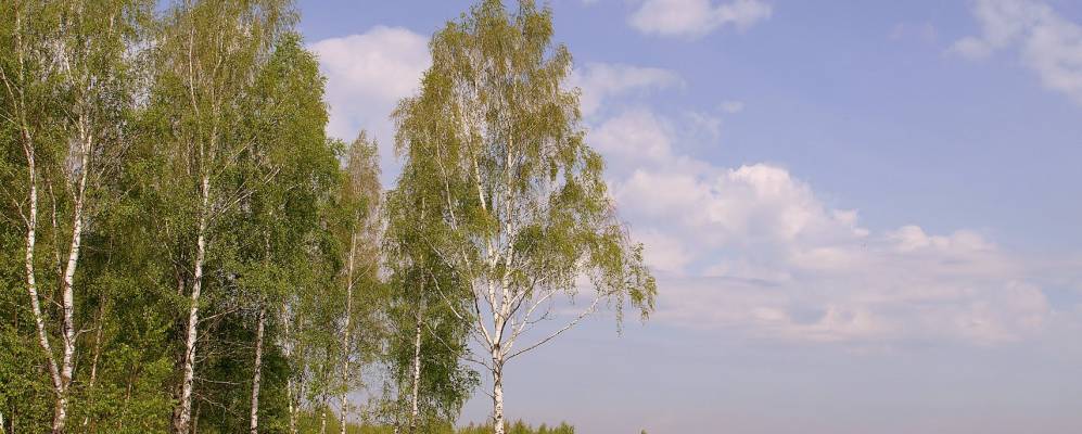 
            Фотография Бабурино