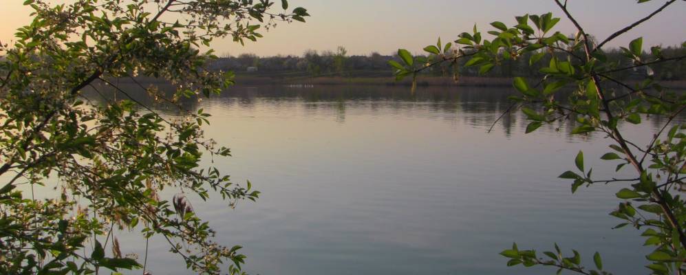 
            Фотография Суворовского