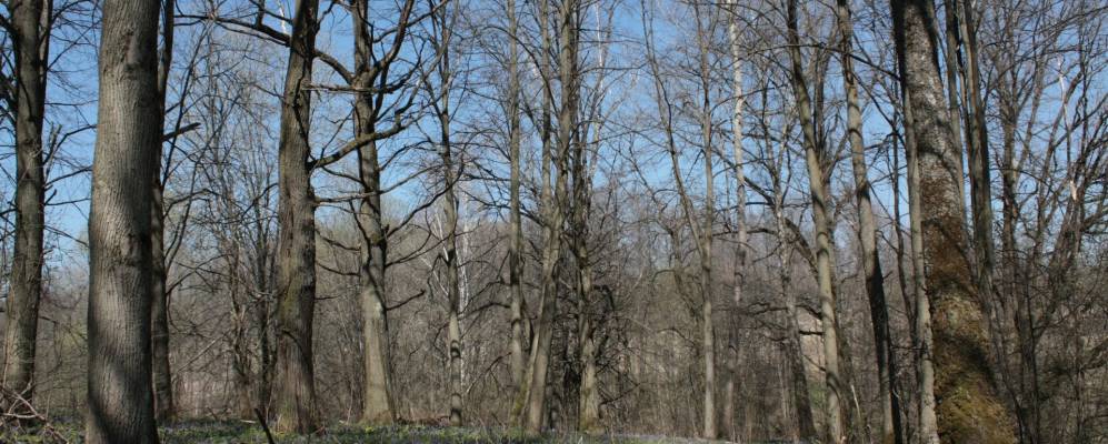 
            Фотография деревни Подборки