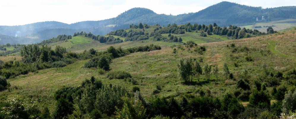 
            Фотография Губичи