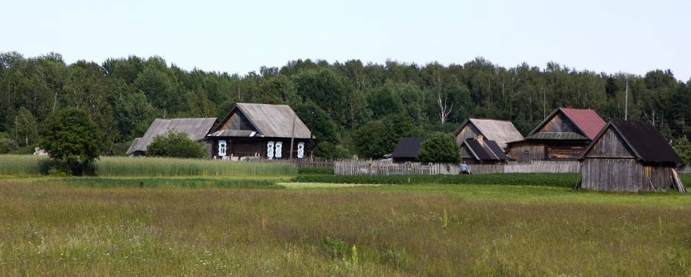 Фотография Козино