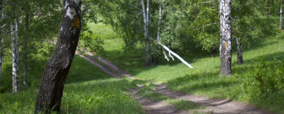 
            Фотография При станции Тырган