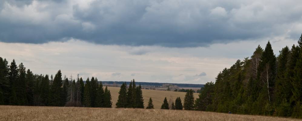 
            Фотография Снегирево