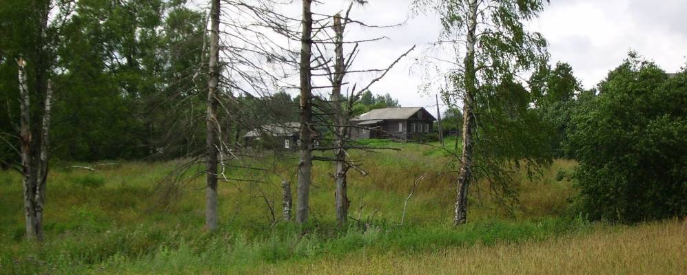 
            Фотография Большого Зауломского