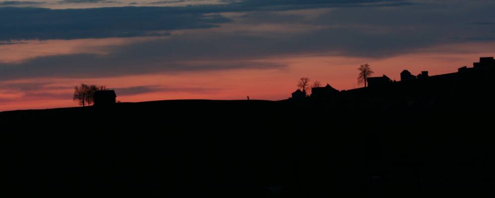 
            Фотография Реетобель