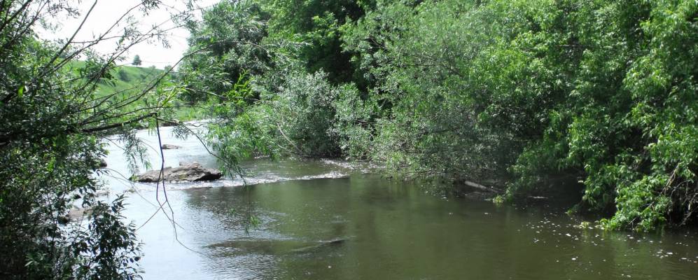 
            Фотография Мокрого