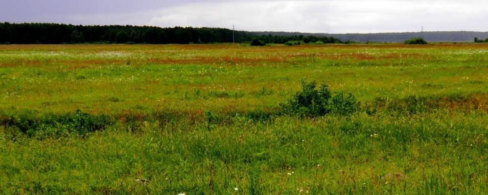 
            Фотография Загоровки